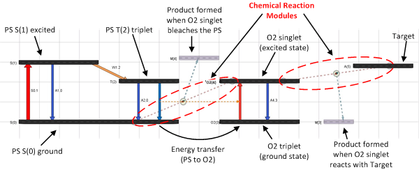 PDT M-CAD